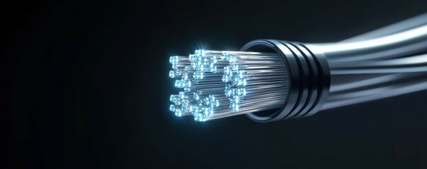 Poster - Close-up of illuminated fiber optic cable against dark background