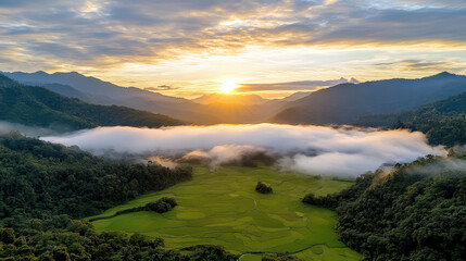 Wall Mural - peaceful sunrise over lush rice terraces and misty mountains