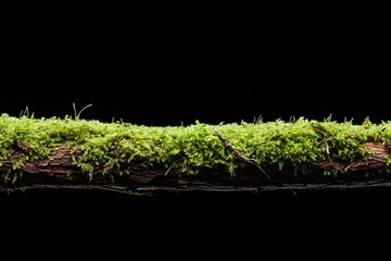 Poster - An artistic view of vibrant green moss on a log against a dark background showcasing natural textures : Generative AI