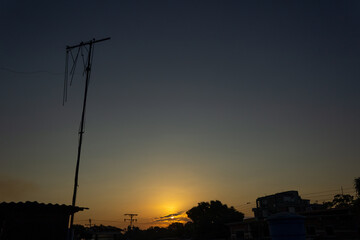 Wall Mural - sunset in the evening sky with silhouette of tree and electric pole