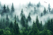© bcendet - Misty mountain forest, birds flying, nature wallpaper