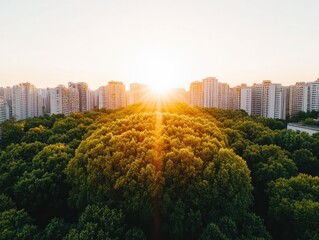 Aufkleber - Aerial Urban Landscape Sunlit Skyscraper Skyline Over Forest Park - Sustainable City Development Visualization and Eco-Friendly Urban Design Strategy