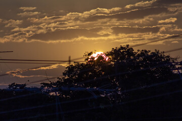 Wall Mural - sunset in the countryside of sri lanka, with silhouettes of trees and wires