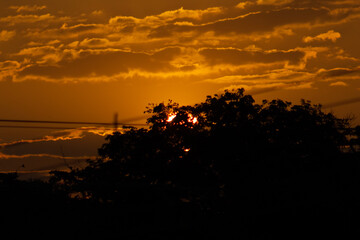 Wall Mural - sunset in the countryside of sri lanka, with silhouettes of trees and wires