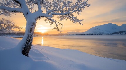 Aufkleber - Majestic Winter Sunset Over Frozen Lake with Snowy Tree in the Foreground : Generative AI