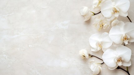 Poster - Elegant White Orchids on Smooth Marble Background for Nature and Wellness Themes : Generative AI