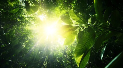 Poster - Vibrant Sunlight Streaming Through Lush Green Jungle Leaves : Generative AI