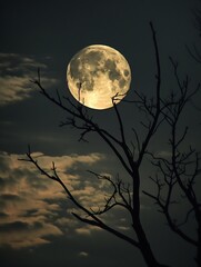 Aufkleber - Stunning Full Moon Rising Behind Dark Silhouette of Tree Branches Against a Night Sky : Generative AI