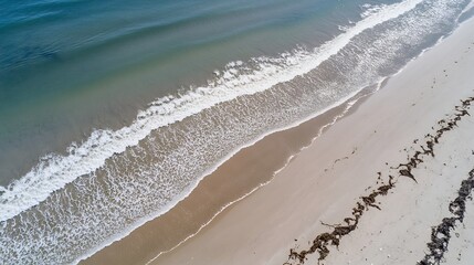 Wall Mural - Aerial view of a quiet beach with gentle waves lapping on the shore creating a tranquil coastal scene : Generative AI