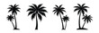 © Fayej - palm trees silhouettes on white background.