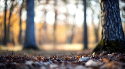 Poster - Autumn Forest Floor with Colorful Leaves and Soft Natural Light in Background : Generative AI