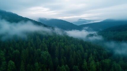 Poster - Breathtaking Aerial View of Lush Green Forest Shrouded in Mystical Fog Over Mountainous Landscape : Generative AI