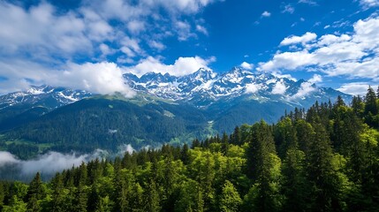 Wall Mural - Breathtaking view of majestic mountains and lush green forest under a bright blue sky : Generative AI