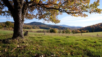 Canvas Print - Breathtaking Autumn Landscape with Colorful Trees and Rolling Hills Against a Clear Sky : Generative AI