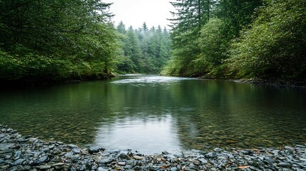 Poster - Serene Riverbank Surrounded by Lush Forest Reflected in Calm Waters : Generative AI