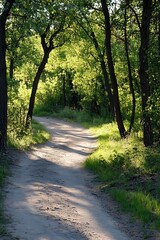 Poster - Serene Tree Lined Pathway Through Lush Green Forest Inviting Nature Walks : Generative AI