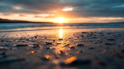 Wall Mural - Golden Reflection of Sunset on Wet Sandy Beach : Generative AI