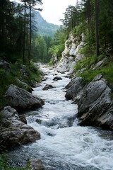 Poster - Majestic River Flowing Through Lush Green Forest with Rocky Terrain : Generative AI