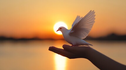 Aufkleber - Graceful White Dove Spreading Wings Against a Warm Sunset in a Serene Outdoor Setting : Generative AI