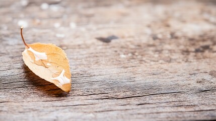Poster - Dried autumn leaf on wooden table creating natural rustic vibe : Generative AI