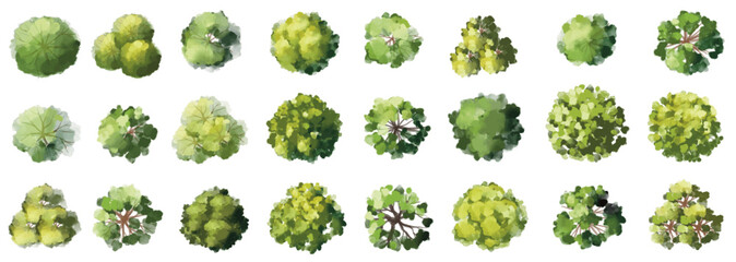 Vector watercolor green tree or forest top view isolated on white background for landscape plan and architecture drawing,plant for environment or garden,botanical element for exterior layout