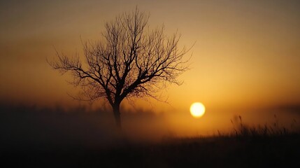 Poster - Silhouette of a Leafless Tree Against a Beautiful Sunset in a Misty Landscape : Generative AI