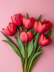Aufkleber - Fresh Red Tulips Blossoming on Soft Pink Background for Spring Decor : Generative AI