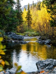 Canvas Print - Tranquil Stream Flowing Through Autumn Forest with Vibrant Colorful Trees : Generative AI