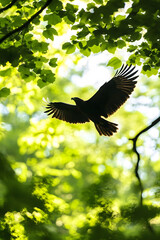 Poster - Majestic Eagle Soaring Through Lush Green Sunlit Forest Canopy : Generative AI