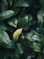 Aufkleber - Lush Green Tropical Leaves Creating a Peaceful Natural Backdrop : Generative AI