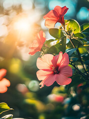 Poster - Radiant Hibiscus Flowers in Sunlit Garden Creating Tropical Vibes : Generative AI