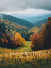 Aufkleber - Scenic Autumn Landscape with Rolling Hills and Vibrant Fall Foliage Under Overcast Sky : Generative AI