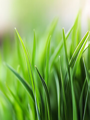 Poster - Vibrant close-up of fresh green grass blades in sunlight : Generative AI