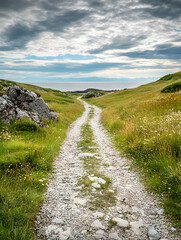 Aufkleber - Scenic Gravel Pathway through Serene Lush Green Meadows under Cloudy Blue Sky : Generative AI
