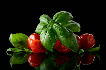 Wall Mural - Basil with tomatoes cherry on a black reflective background.