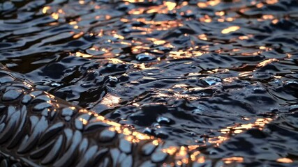 Poster - Golden Ripple Reflections
