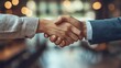 © Sang - Two business partners shake hands after a successful negotiation, celebrating their agreement and closing a business contract with a handshake