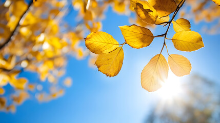 Aufkleber - Golden Autumn Leaves Against Bright Blue Sky with Sunlight : Generative AI