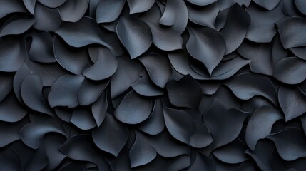Poster - Elegant Black Petals Creating a Textured Abstract Background