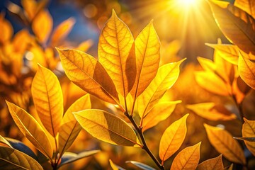 Canvas Print - Golden Laurier Leaves on a Sunny Autumn Day