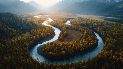Poster - A serene river runs through a dense and vibrant forest, perfect for use in nature-related concepts or travel photography