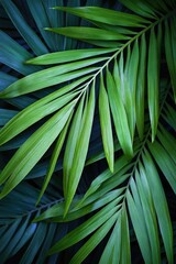 Canvas Print - A detailed view of a healthy green palm leaf, perfect for showcasing nature's beauty in various settings