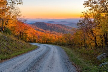Poster - A dirt road surrounded by trees and foliage in a dense forest