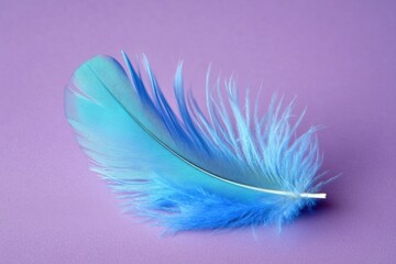 Wall Mural - A single blue feather rests on a rich purple surface