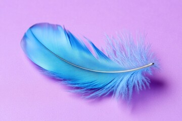 Aufkleber - Blue feather lying on a pink surface