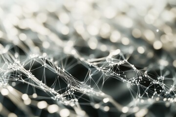 Poster - Intricate web of connections glistens under soft light, creating a mesmerizing display of patterns and textures. Generative AI