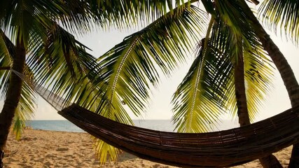 Aufkleber - Gentle breeze swinging an empty hammock between two palm trees on a beautiful tropical beach with white sand and turquoise water in slow motion