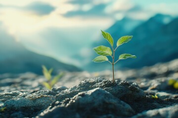 Poster - Hopeful sapling emerges from rocky ground under a glowing sky at dawn in a tranquil mountain landscape. Generative AI