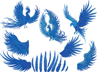 Wall Mural - blue birds wings and feathers collection isolated on white