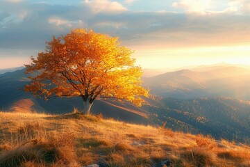 Wall Mural - golden autumn tree stands majestically atop a hill overlooking a breathtaking sunset mountain range.